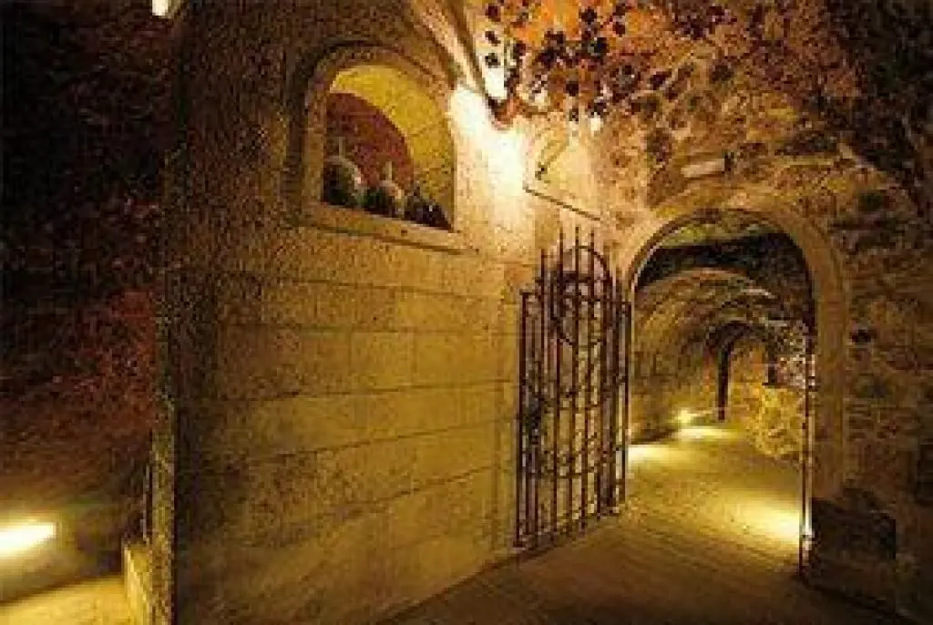 Vive el vino Rioja Alavesa 
