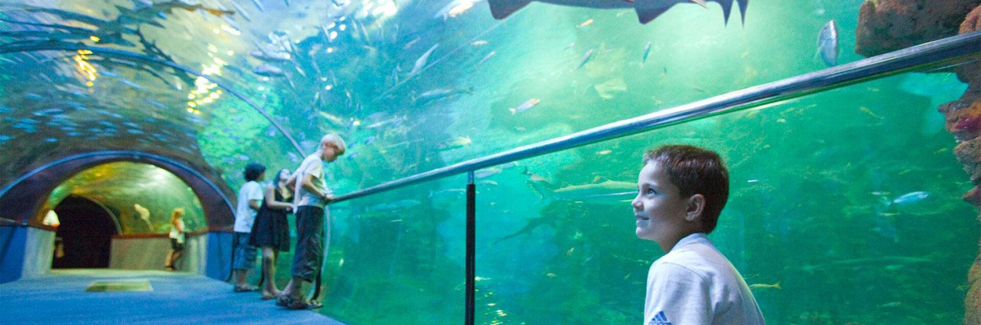 Aquarium