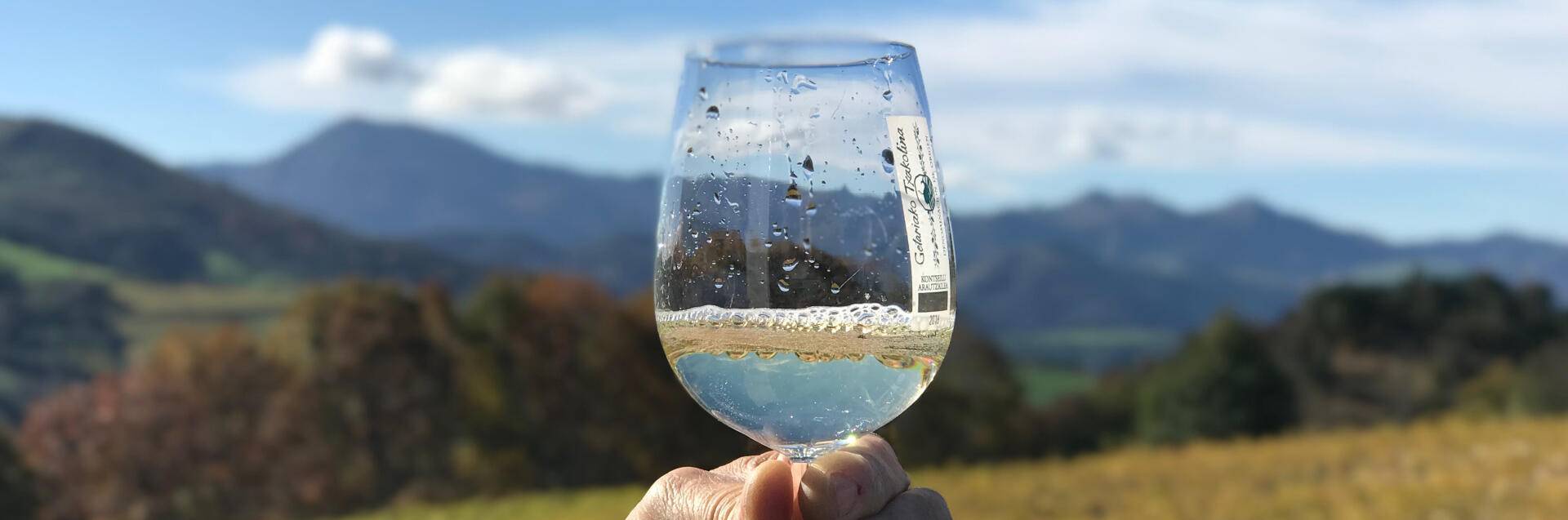 Entre viñedos de txakoli y el mar